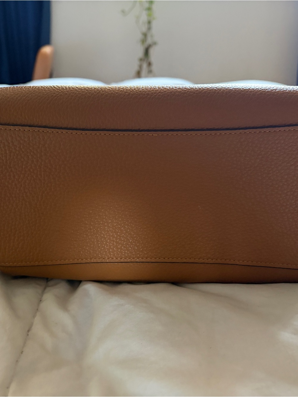 Coach Rowan saddle with white trim NWOT - Picture 2 of 5